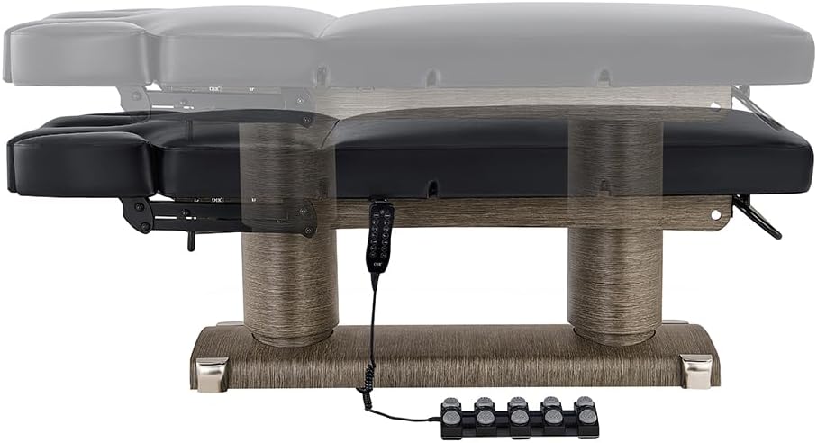 Full Electric Medical Spa Treatment Massage Table Facial Beauty Bed LUXI