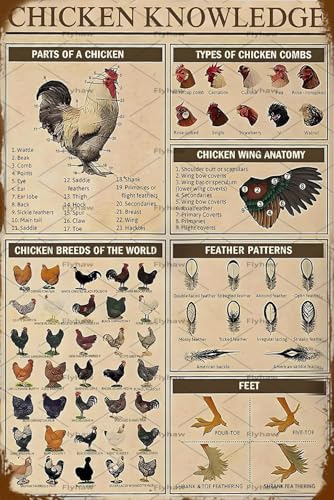 Panneau en métal Chicken Knowledge rétro pour poulailler 20x30 cm