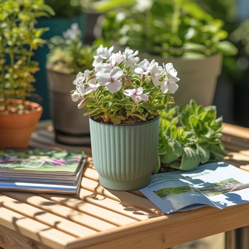 T4U Zelf bewaterende potten van 10 cm, 6 stuks, plastic plantenpotten met houder, vensterbank bloemenpotten voor alle binnen- en buitenplanten, Afrikaanse viooltjes (groen) - Afbeelding 3