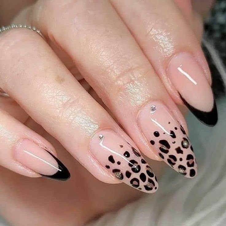 Artificial Nails: Glossy Nude French With Animal Print/Shape Long Stiletto (Set of 12 with nail glue, nail file, cuticle pusher, cleaning wipe)