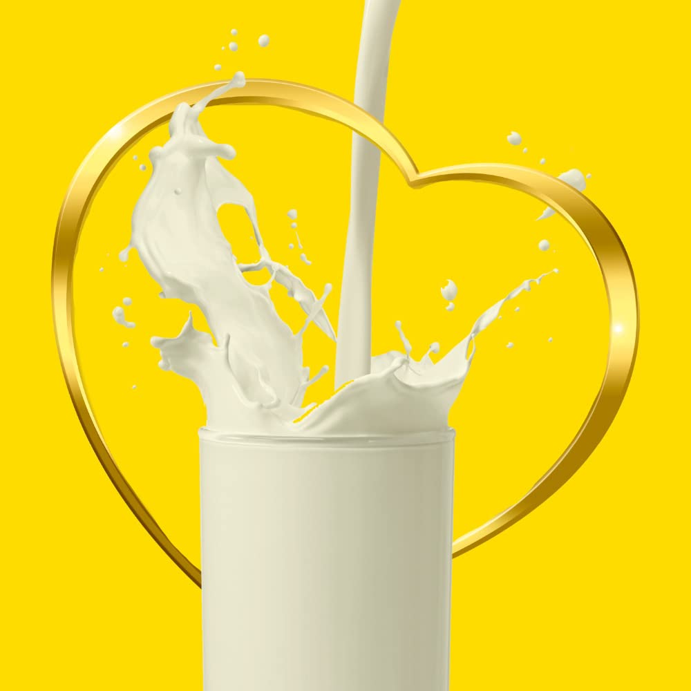 NIDO - Milchpulver - (1 X 2500 GR)