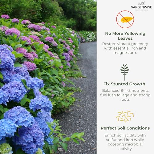 Image of GARDENWISE Slow Release Hydrangea Fertilizer with Iron & Sulfur - Indoor & Outdoor Soil Acidifier for Miracle Growth (2 qt)