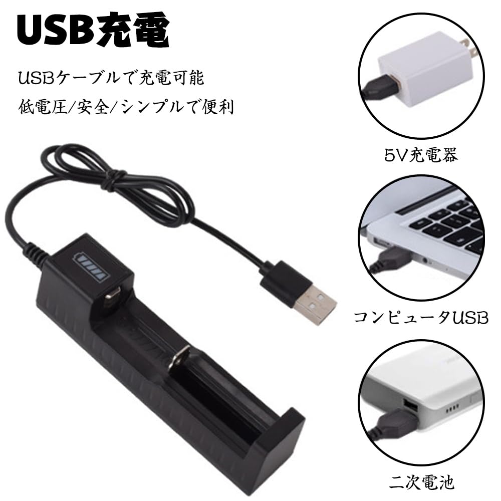 Amazon | USB急速充電器 リチウムイオン充電池用 電池ボックス
