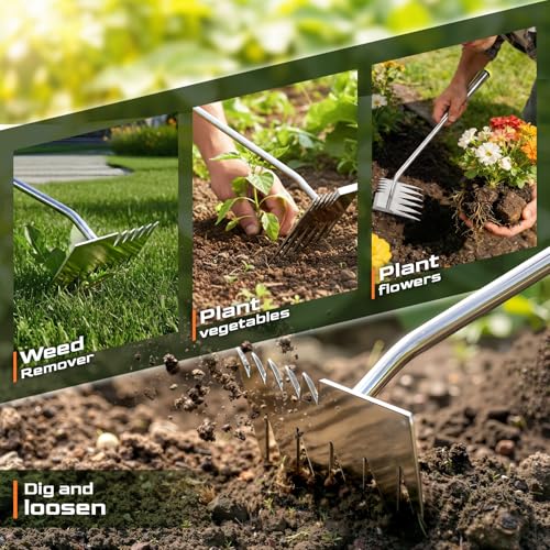 LOOHOI Hand Weeder Tool