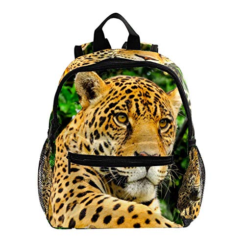 Mochila bebé Leopardo Amarillo Infantil Pequeña Bolso para Niños Niñas 3 8 Años