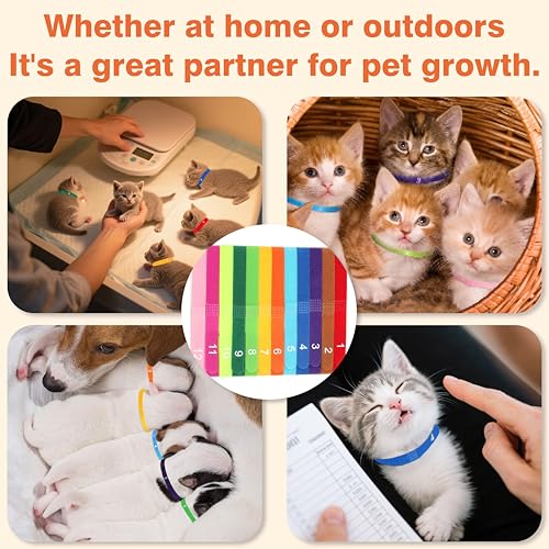 Image of Newborn Puppy Collar Set of 12 with Numbered Tags & Weight Tracker Chart, Soft Adjustable Kitten Collar, Puppy Collars for Litter, Whelping Supplies for Kitten Small Dogs (S /M /L) (S)