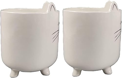 Miniatura 4 de Macetas de cerámica para plantas suculentas, para interiores, hogar, oficina, jardín (gato blanco, grande, 2)
