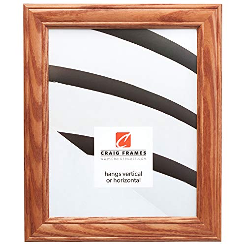 Craig Frames 59504100 11 by 14-Inch Picture Frame, Wood Grain Finish, 1.25-Inch Wide...