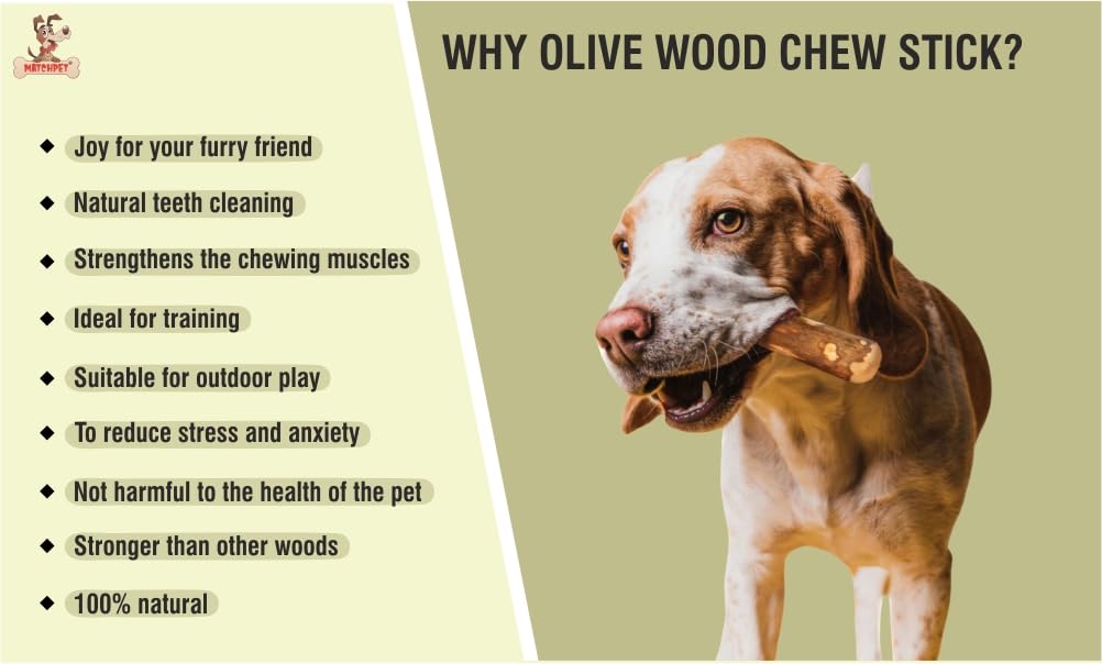 Matchpet Olive Wood Chew Stick for Dogs M - Image 4