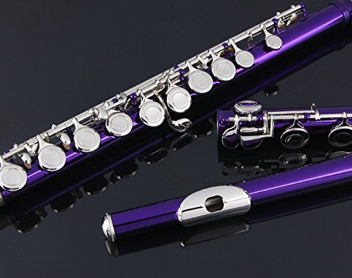 Amazon.com: Glory Closed Hole C Flute With Case, Tuning Rod and