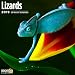 Lizards 2019 16 Month Wall Calendar 12 x 12 Inches