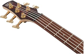 Amazon.com: Ibanez SR305EDX Standard 5-String Right-Handed