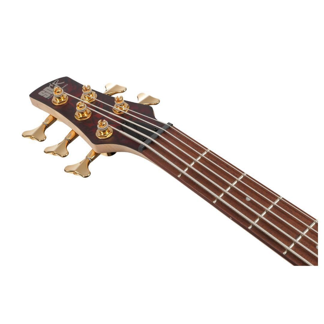 Amazon.com: Ibanez SR305EDX Standard 5-String Right-Handed