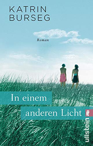 Preisvergleich Produktbild In einem anderen Licht: Roman