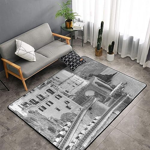 Tapis doux grand format lavable pour une décoration d'intérieur - 3