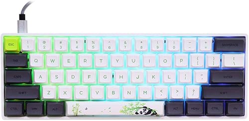 Teclado mecánico de teclas intercambiables con retroiluminación RGB, NKRO, IP6X impermeable, cable tipo C para WinMacJugar SKYLOONG SK61 61 de