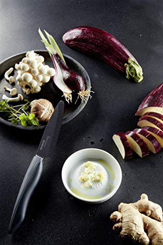 Ralador Ceramica Kyocera Diam 6.5