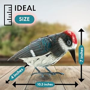 Metal Woodpecker Bird Figurine - Beautiful Backyard & Garden Gift, Birds Statue Sculpture Art Large Realistic - Outdoor Spring, Summer Metal Yard Art for Lawn Ornament Decoration Ornament Decor 7" H Metal Woodpecker Bird Figurine Beautiful Backyard Garden Gift Birds Statue Sculpture Art Large Realistic Outdoor Spring Summer Metal Yard Art for Lawn Ornament Decoration Ornament Decor 7 H