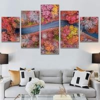 SIGNWIN 5 Panel Canvas Wall Art Modern Art Aerial Expressive Global Landscape Mountain Multicolor Photography for Home Decorations Ready to Hang - 60