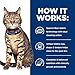 Hill's Prescription Diet t/d Dental Care Dry Cat Food, Chicken, 8.5 lb. Bag