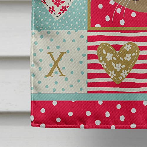 Drapeau de maison Scottish Straight décor extérieur chat