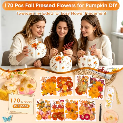 Image of 170 PCS Fall Dried Pressed Flowers with Tweezers, Real Nature Dried Flowers Orange Autumn Pressed Florals Set for Resin Scrapbooking Vase Candle Making Card Scrapbook Craft Floral Decors