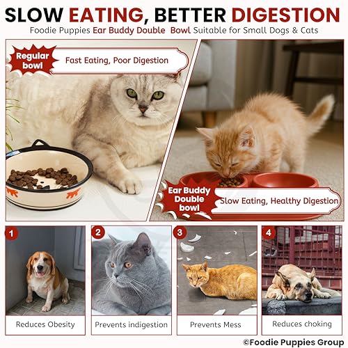 Image of Foodie Puppies Pet Feeding Tilted Cat Bowl - (Ear Buddy Double Bowl) | Durable, Anti Vomiting, Healthy Cat Feeder for Persian Cat Prevent Tipping Over | Feeder for Cats, Kittens & Puppies