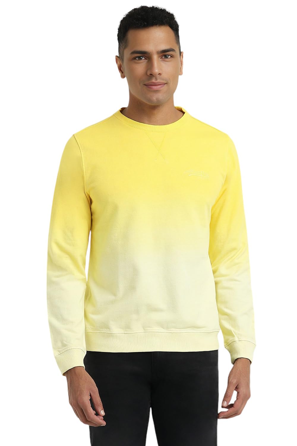 allen solly Men Cotton Crew Neck Sweatshirt-picture-55