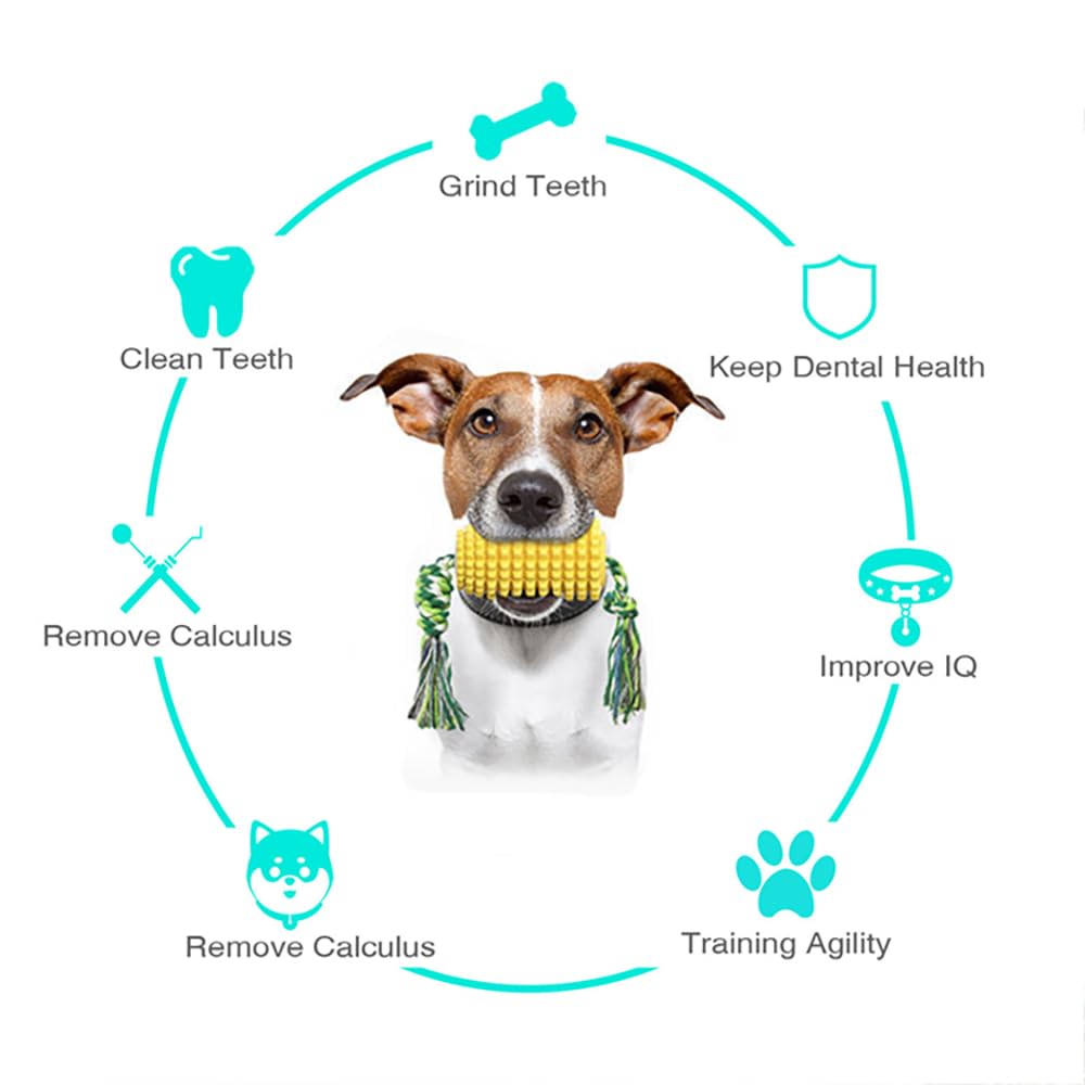 Jouet à mâcher pour chien en forme de maïs : corde dentaire flottante avec trou à friandises – TPR indestructible et corde en coton pour le nettoyage des dents, le soulagement de l'ennui