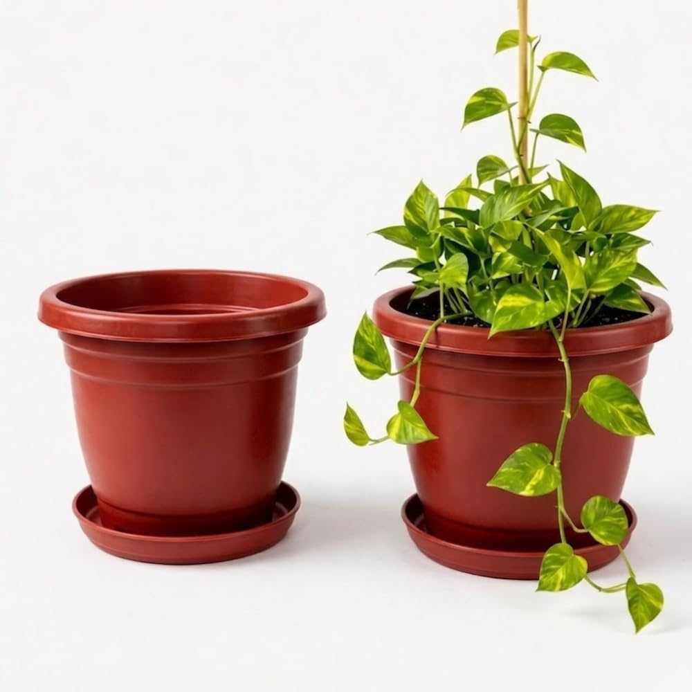 Urban Upvan Terracotta Round Flower Pots 10 Inch with Tray for Plants | Planters for Indoor & Outdoor Use | Balcony, Garden & Home Décor Gamla Pots, Pack of 2-image-18