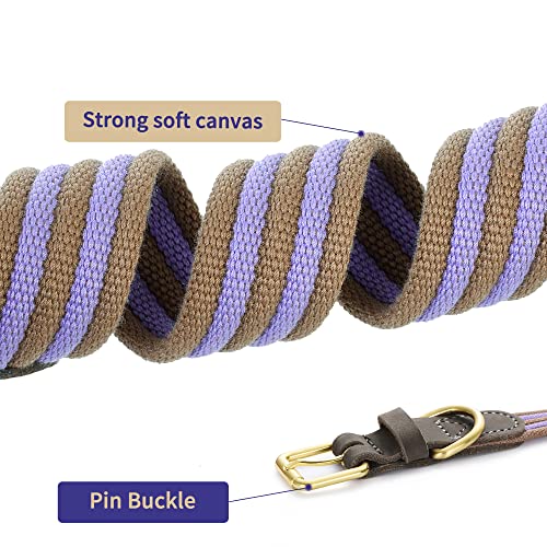 Mile High Life Leather and Canvas Dog Collar #TOP21