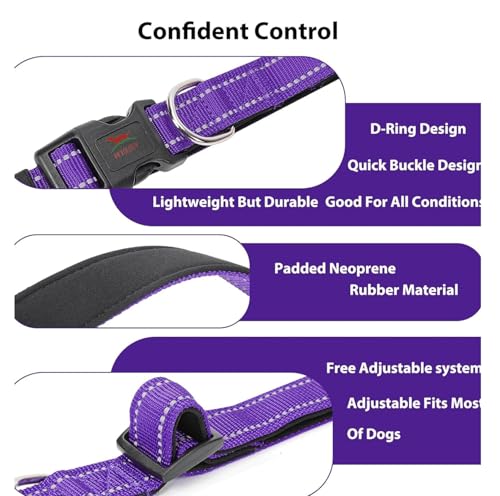 Image of Petology Reflective Adjustable Dog Collar for X-Large Dogs (50-60 cms) | Soft Neoprene Padded Nylon Pet Collar with Safe & Quick Release Buckle | Comfortable, Lightweight & Durable