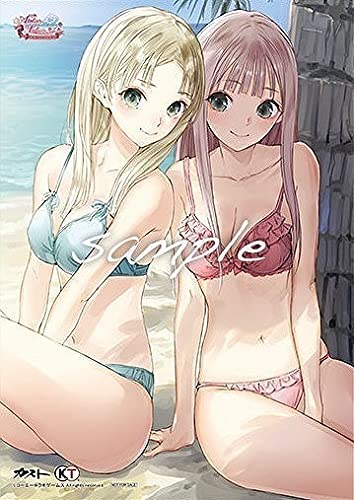 Amazon.co.jp: ルルアのアトリエ トレーダー特典 描き下ろしB2 