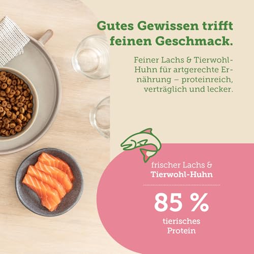 MERA Cats Nature Lachs Premium Katzenfutter Trocken 2kg | Getreidefrei & zuckerfrei | Adult Katzen Trockenfutter hoher Fleischanteil | Dry Cat Food