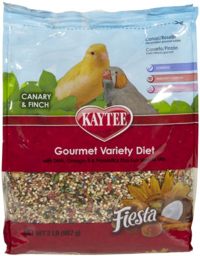 Kaytee 100032244 Fiesta Max Canary/Finch 2Lb cover