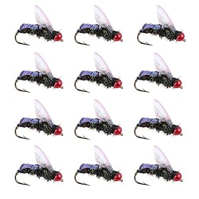 Amazon.co.jp: 完成フライ - 釣り: スポーツ＆アウトドア