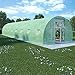 Produktbild vidaXL Gewächshaus 36 m² Treibhaus Tomatenhaus Pflanzenhaus Frühbeet Garten