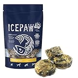 ICEPAW by Michael Tetzner