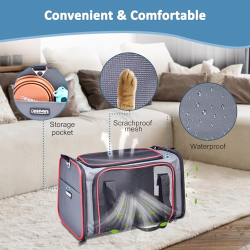 Soft-Sided Kennel Pet Carrier for Small Dogs, Cats, Puppy, Airline Approved Cat Carriers Dog Carrier Collapsible, Travel Handbag & Car Seat Soft-Sided Kennel Pet Carrier for Small Dogs, Cats, Puppy, Airline Approved Cat Carriers Dog Carrier Collapsible, Travel Handbag & Car Seat