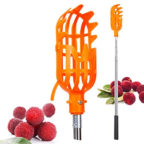 Cabezal de Cesta recolector de Frutas y Poste Desmontable, Herramienta para recolectar Frutas Recolector de Frutas portátil Cosechadora para Manzanas, Naranjas, limón, melocotón, Mango, árbol Cover