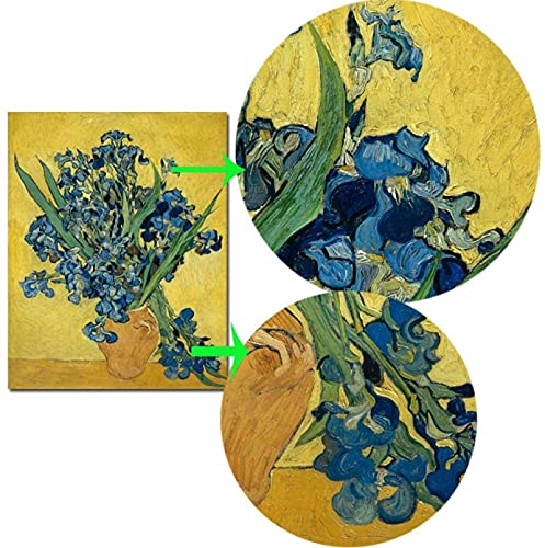 YHJK Canvasdruk impressieve schilder Van Goghs Iris poster en prints muurkunst beroemde canvas schilderij woonkamer… - Afbeelding 5