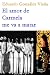 El amor de Carmela me va a matar (Spanish Edition)