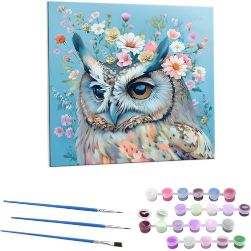 LbgɂG tNẺ G LbghG h qƑl S phGLoXNtg|  DIYG fW^G z[ ItBX i 50x50cm (t[X) Z-582