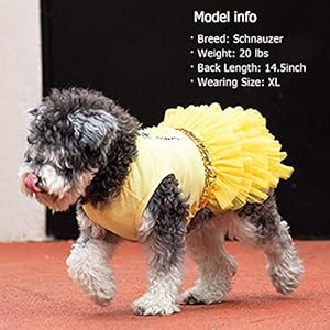 KYEESE Dog Dress Pineapple Yellow Tiered Dogs Beach Dresses with Sequins Cat Dress Small KYEESE Dog Dress Pineapple Yellow Tiered Dogs Beach Dresses with Sequins Cat Dress Small