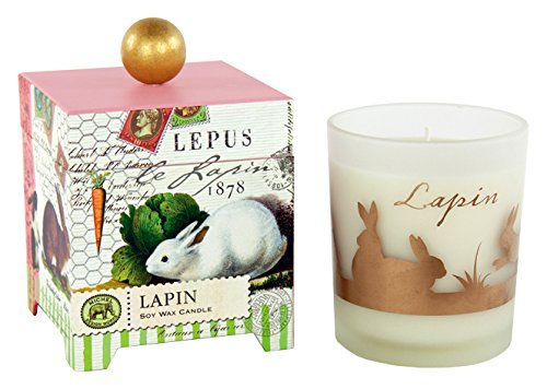 Michel Design Works Gift Boxed Soy Wax Candle, 14-Ounce, Black Cherry