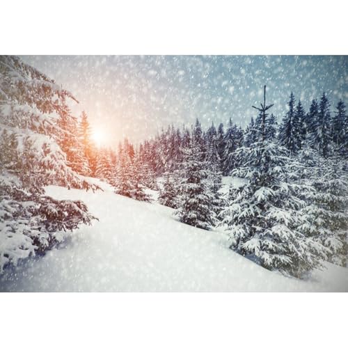 YongFoto 2,2x1,5m Foto Hintergrund Weihnachten...