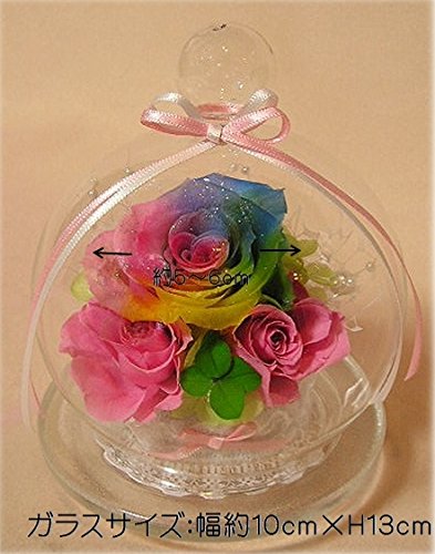 Amazon｜クローバーが選べる パステルカラーのレインボーローズ