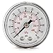 Pressure Gauge, 0 to 30 psi, 0 to 200 kPa