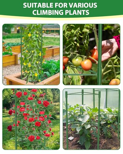 Cage à tomates 40x130 cm MYMULIKE en lot de 3 pour potager surélevé
