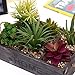 MyGift Potted Artificial Succulent Plants in Rustic Wooden 'Home' Planter Box with Rope Handles
